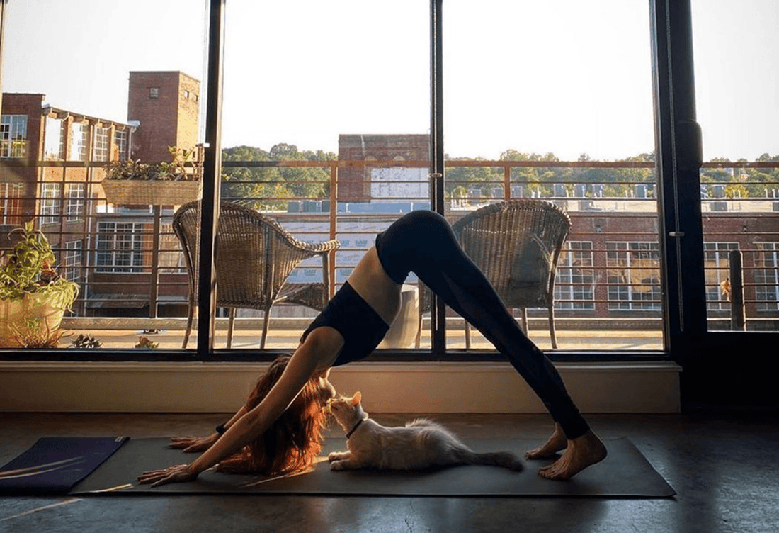 JadeYoga Harmony Mat (3/16" thick) Olive Green 68"
